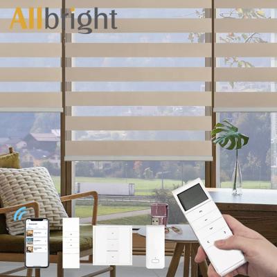 China CLASSIC Transparent Light Filtering Day And Night Remote Control Roller Motorized Zebra Window Blinds For Office Home Hotel for sale