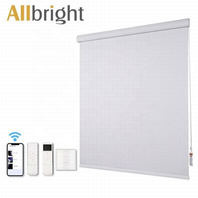 China CLASSIC Electric Custom Electric Blackout Roller Plain Patio Door Blind Blackout for sale