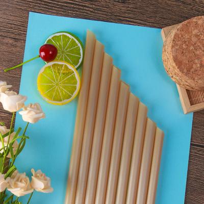 China Biodegradable Compostable Plant Based Different Sugar Cane Straws 6mm 8mm 10mm 12mm Sugar Cane Fiber Biodegradable Paper Wrap For Cold Drinks for sale