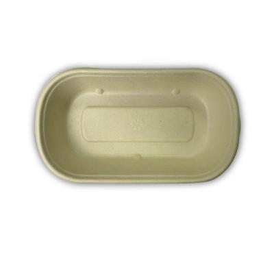 China Eco Friendly Disposable Customizable Sugar Cane Food Packaging Compostable Lunch Box Container Take Away Picnic Salad Molded Box for sale