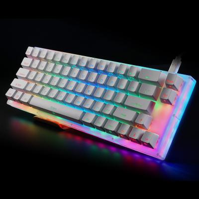 China Plug & Play Custom Switchable PCB Keys Support Lighting Effects With RGB Led 66 Key 65% ​​Mecanico Teclado Gamer Mechanical Gaming Keyboard for sale