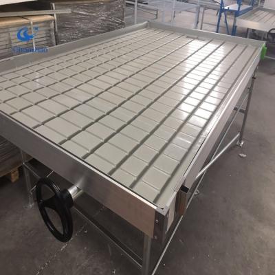 China Agriculture Planting Bench Backflow Easy Flow Tabletop Hydroponics Fixed And Rolling Hydroponics Systems for sale