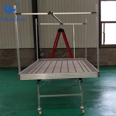 China Agriculture planting ebb and flood bench systems dutch self watering trays waterbed plant display system for sale