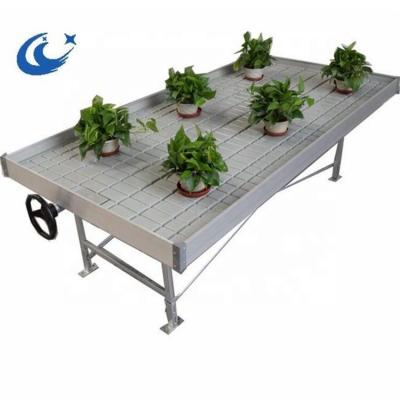 China Stable Structure Easily Assembled High Performance Greenhouse Backflow Flow Plant Nursery Equipment Bench for sale