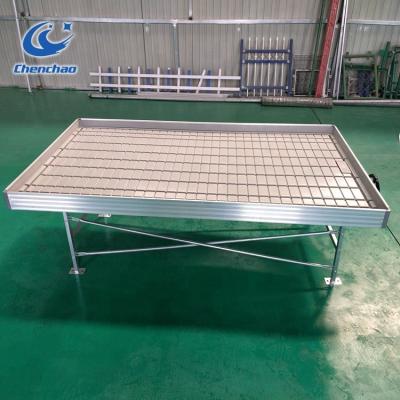 China Greenhouse Agricultural Hydroponics Product Sowing Ebb And Flow Bench for sale