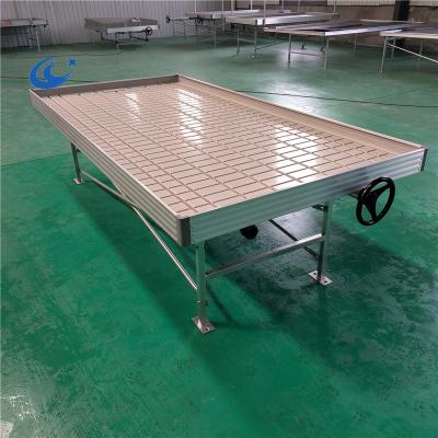 China Greenhouse Seedling Greenhouse Flood Growing Hydroponic Seeding Tray for Hebei Chenchao for sale