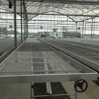 China Easily Assembled Indoor Metal Greenhouse Expanded Mesh Rolling Bench For Agriculture for sale