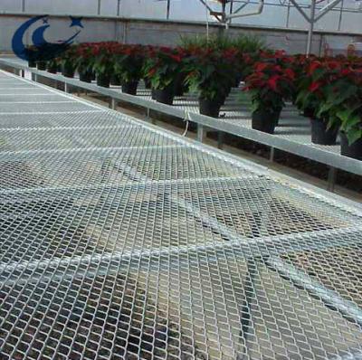 China Easily Assembled Agriculture Greenhouse Metal Growing Rolling Tables For Commercial Plants for sale