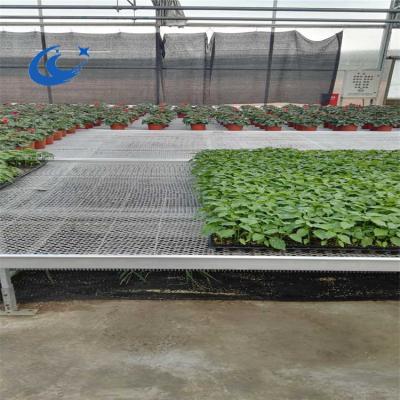 China Corrosion Resistance Expanded Metal Top Greenhouse Bench New Premium Used for sale