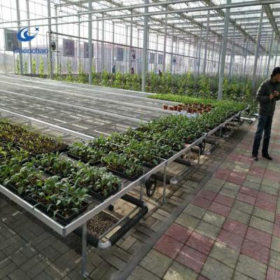 China Roll Stable Bench Low Cost Structure Growing Tables For Factories Commercial Wire Mesh Greenhouse Rolling Bench for sale