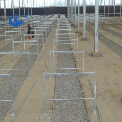 China Corrosion Resistance Anping Factory Automated Cultivation Systems Using Rolling Benches for sale