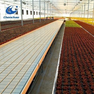 China Easily Assembled Hebei Chenchao Factory Greenhouse Ebb And Flow Rolling Bench for sale