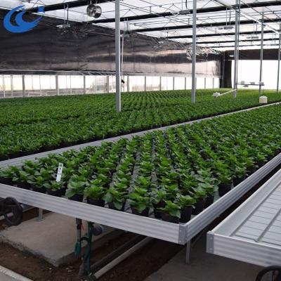 China Stable structure easily assembled microgreen products supply hydroponics farm vertical agriculture for sale