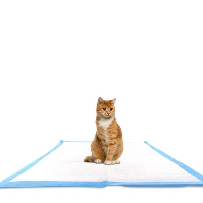 China Stocked Click Pet Products Supplies Waterproof Sanitary Pads Mat Cat Dog Pee Agile Training Disposable Pad for sale