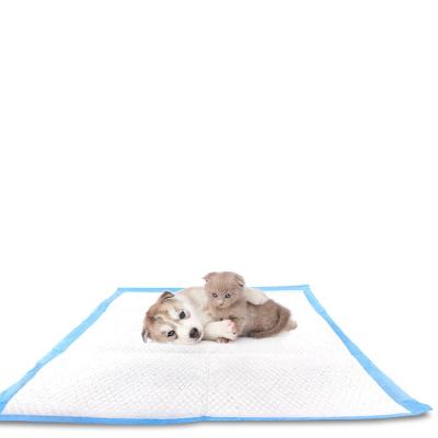 China Disposable Waterproof 5-Layer Puppy Exercising Medium Large Stocked 60*60cm Pads Training Pee Pads With Quick-Dry Surface for sale