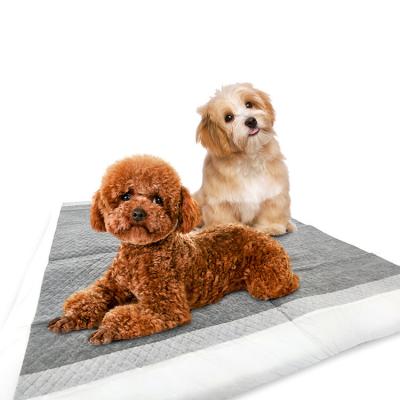 China Stored Active Carbon Pet Training Pads Extra Large Disposable Puppy Urine Absorbent Dog Pee Pad Mat For Dogs for sale