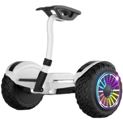 China Non-slip Favorite Other Self Balance Scooter for sale