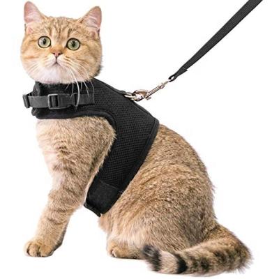 China Adjustable Black Air Mesh Collar Cat Harness With Leash for sale