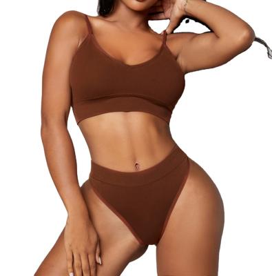 China Ladies Breathable Hot Seamless Ribbed Bra Brown Set Hippie Sexy Simple Women's Nylon Spandex Bra And Thongs Black Seamless Underwear for sale