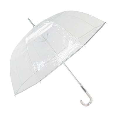 China All In 1 Large Clear Rain Transparent Feminine Women Dome Umbrella Wedding Bubble Ladies Umbrella for sale