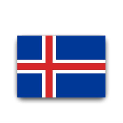 China Custom Printed Morden Polyester Iceland Flag Advertising Flag for sale