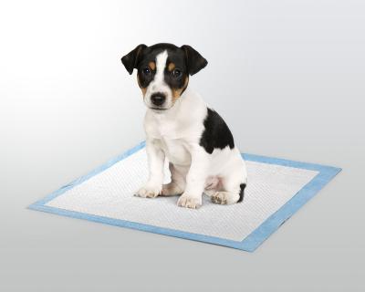 China 100-Pack_ Puppy Plain Weave Training Pads Clean Pad Smell Control Pads for sale