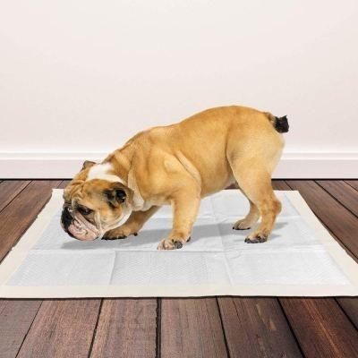 China Home Factory Puppy Pad Cleaning Sheet 48x40cm Plain Weave for sale