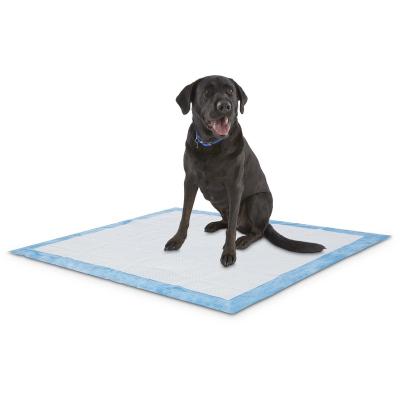 China X-Large Animal Absorbent Plain Weave Dog Potty Pads, 100 Count for sale