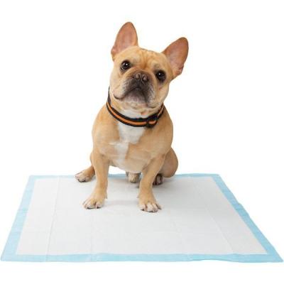 China Puppy Pet 64 Count Plain Weave Pads 18 By 24 Inches, Dog Potty Training Pee Pads for sale