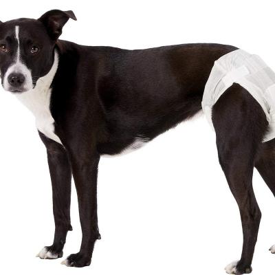 China Stocked High Quality Disposable Diapers For Female Dogs From China Supplier for sale