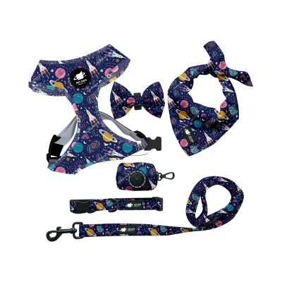 China Viable Cat Space Style Rocket Planet Harness Kit 6 in 1 Leash Collar Bag Pet Harness Set for sale