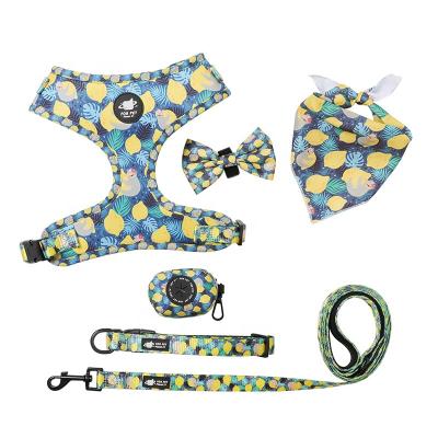 China OEM/ODM Personalized Dog Chest Harness Traction Rope Combination Leaf and Lemon Pattern Pet Six-Piece Set for sale