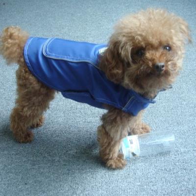 China 144 Viable Customized Raincoat Comfortable Cute Adorable Reflective Rainjacket Hooded Poncho Dog Apparel For Rainy Days for sale