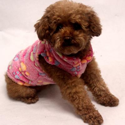 China Viable Dropshipping Accepted Pawprint Comfortable Cozy Small Dog Pajamas Cheap Dog Clothes for sale