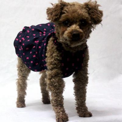 China Viable Adorable Dog Dresses Princess Cute Skirt Rose Red Skeleton Prints Doggie Cowboy Pet for Little Doggies in 4 Sizes for sale