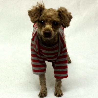 China Viable Small Dog Summer Hot Sale Cute Red Amazon Vest Pet Stripe T-shirt Puppy Doggie Clothes For 6 Size Doggies for sale