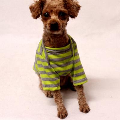 China Viable Dropshipping Accepted Cute Small Dog Summer Vest Pet Stripe T-shirt Pet Clothes For Doggies 6 Sizes In Three Colors for sale