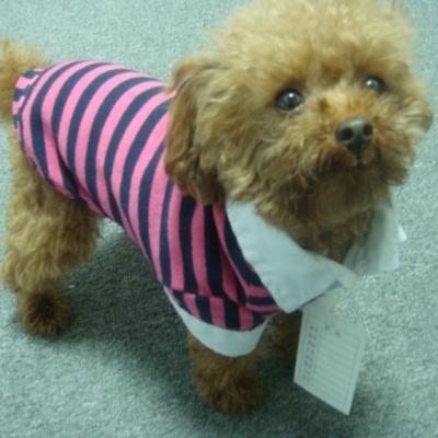 China S413 Viable Customized Adorable Fashionable Striped Dog Shirt T-shirt Breathable Basic Dog Vest For Pet Apparel Puppy Sweatshirt for sale