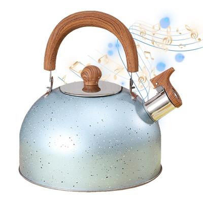 China Colorful Jug Tea Kettle Water Kettle Sustainable Nice Designed Stainless Steel for sale