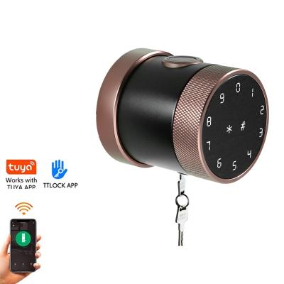 China Apartment Door Handle Smart Electronic Safe Cylinder Lock For Office Glass Doors for sale