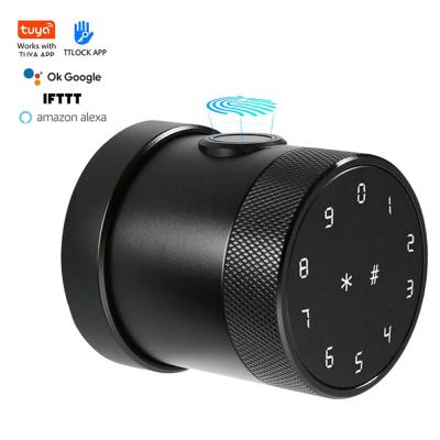 China Apartment tuya hotel home wifi door lock biometric electronic fingerprint smart digital lock for sale