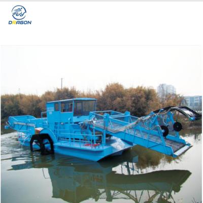 China Hazelnut Picker Environmental Protection China Factory for sale