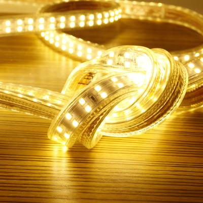 China Jiangmen Lighting Led Waterproof Flexible LED Strip Light AC 220V 120V 110V 230V LED Strip Light LED Strip for sale