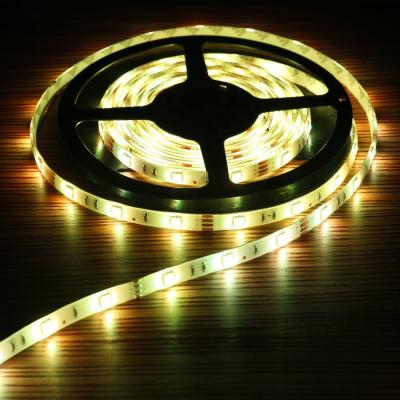 China Indoor or outdoor led rope neon light color changing led rope light diwali lights led rope for sale