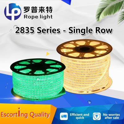 China Theme Park 2835 Series - Cost Effective Single Row 110v 220v High Lumens Output 110 Volt Led Strip Light Led Ropelights for sale