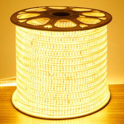 China SMD 3014 10mm Outdoor/Indoor Flexible Led Strip Light 240leds/m Widely Useed 240leds/m with 110v/220v for sale