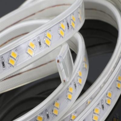 China LANDSCAPE Dual High Voltage 220V Raw Led Strip Light Power Plug Fluctuating Promotion Price 5730 120LEDs Led Light for sale