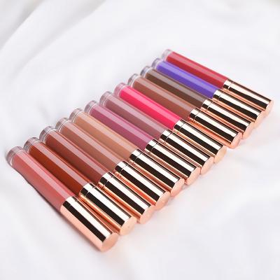 China Waterproof 24 Shades Hot Sale Lip Gloss Nude Lip Gloss Private Label Vendors for sale