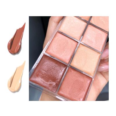 China 2022 New Seller Waterproof Hydrating Makeup Concealer Palette 12 Colors Cosmetic Concealer Waterproof Hydrating OEM No Logo for sale