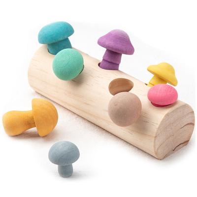 China Eco-friendly Material Wooden Rainbow Blocks Mushroom Picking Game Toys Montessori Baby Educational Wooden Toys for sale